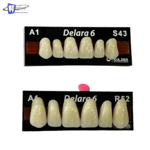 Dientes-para-prótesis-de-resina-Delara-A1-1×6 -uperior-depositodentalstanford-irapuato