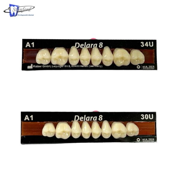 Dientes-para-prótesis-de-resina-Delara-A1-1×8-Superior-depositodentalstanford