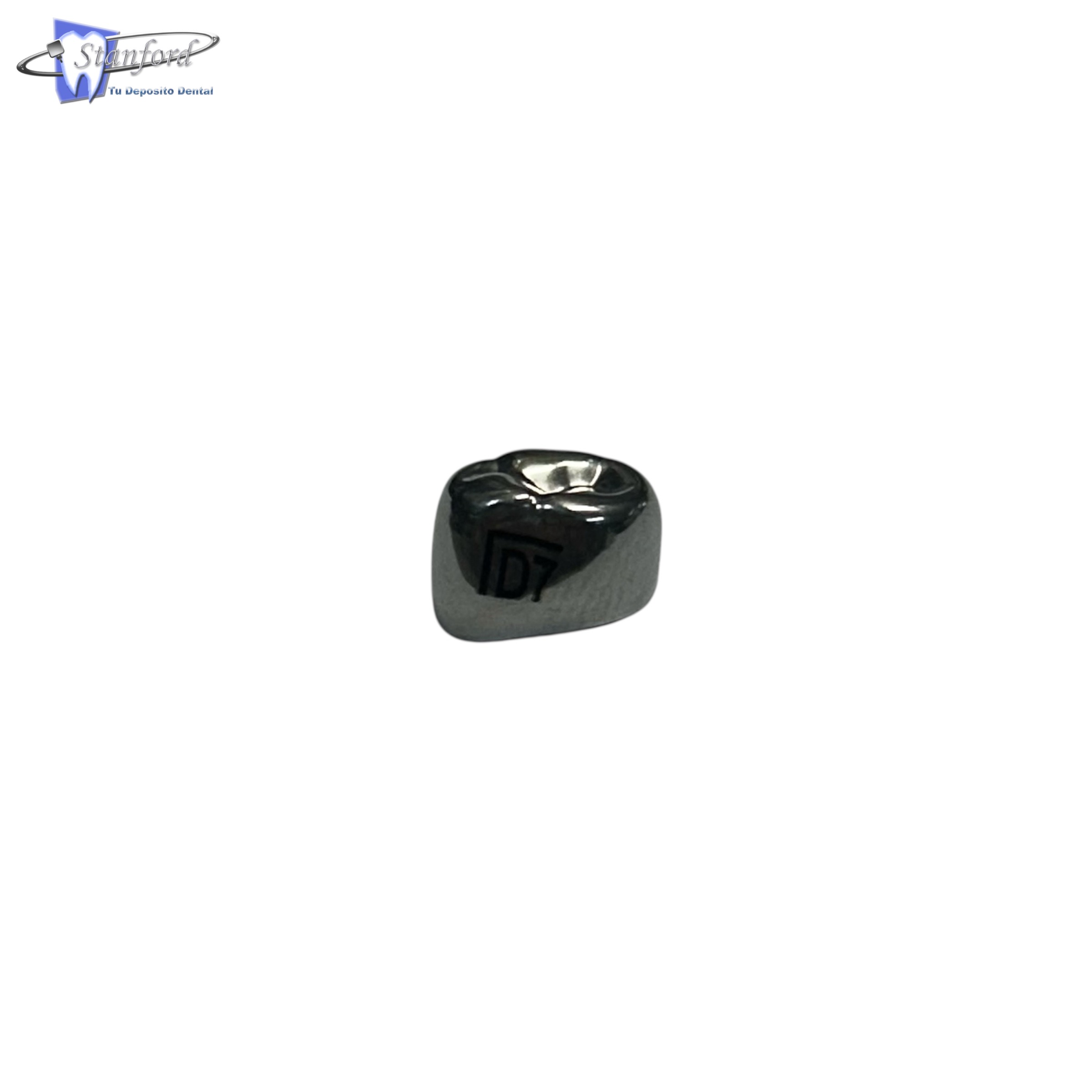 Dll7 Primer Molar Inferior Izquierdo