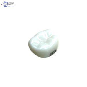 Corona Zr Post 2Do Molar Inferior Der  # 6