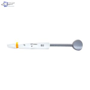 Resina Spectra Smart B2 Jeringa 4G