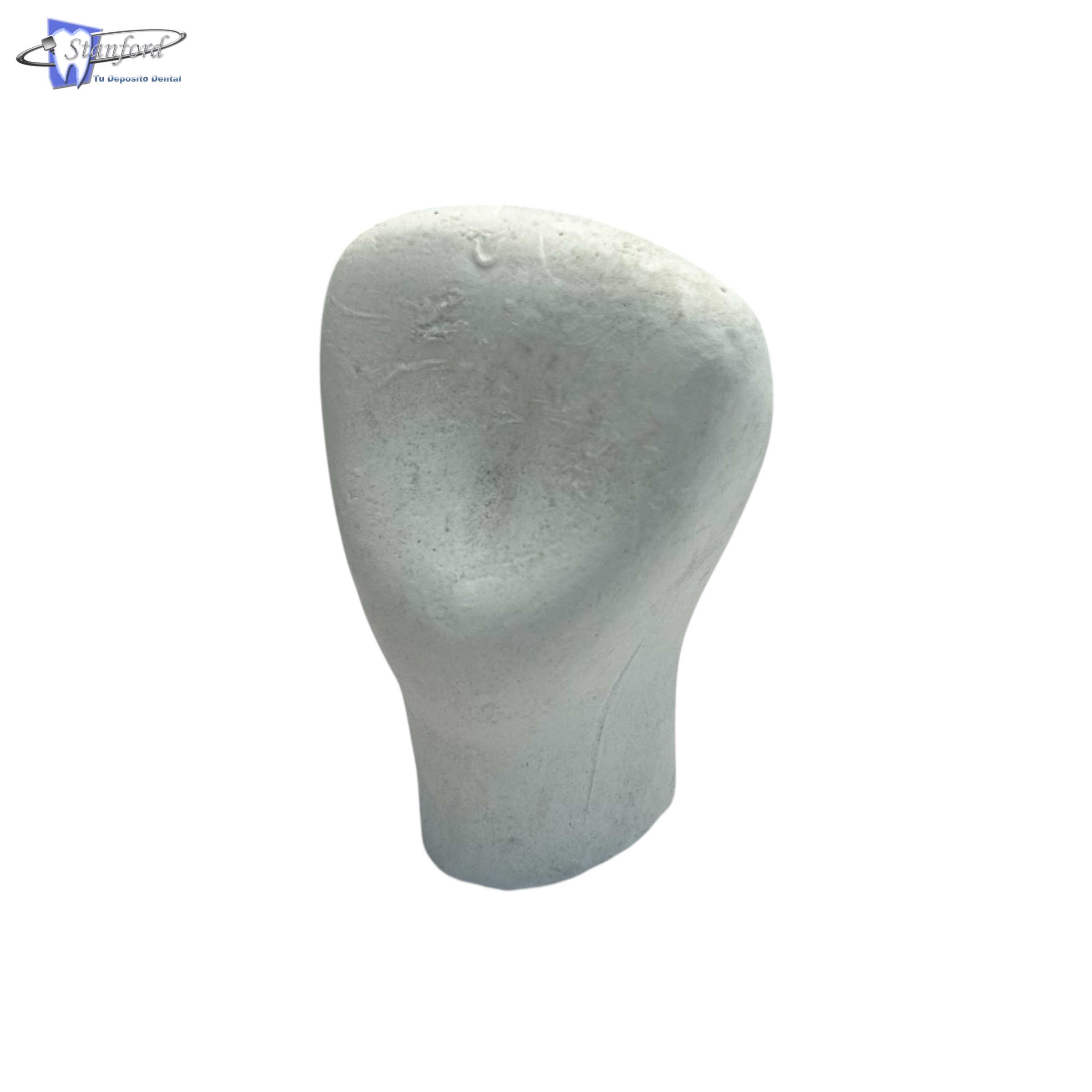 Macrodiente De Yeso Adulto Central Superior