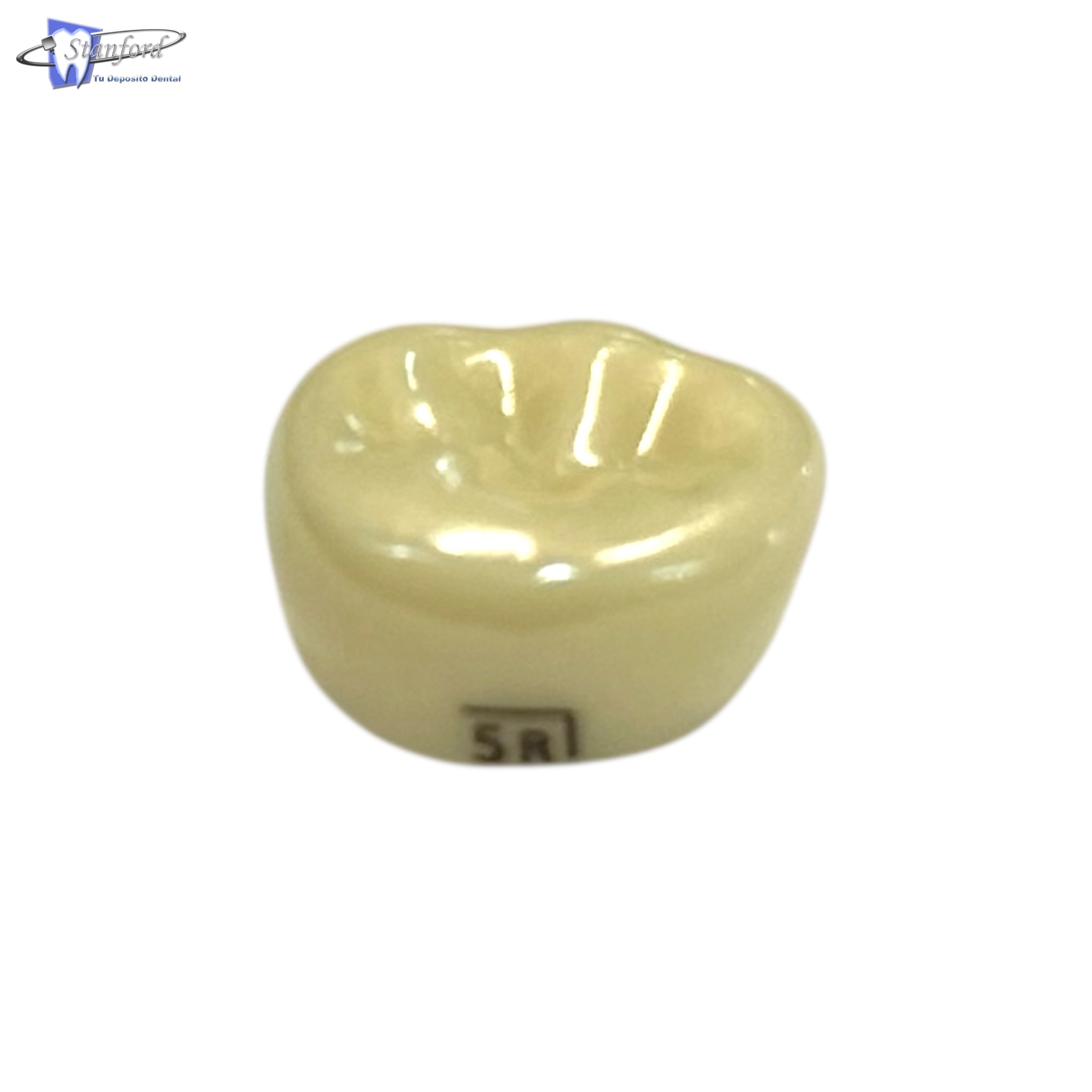 1Er Molar Permanente, Inferior Izquierdo # 5, Color A2