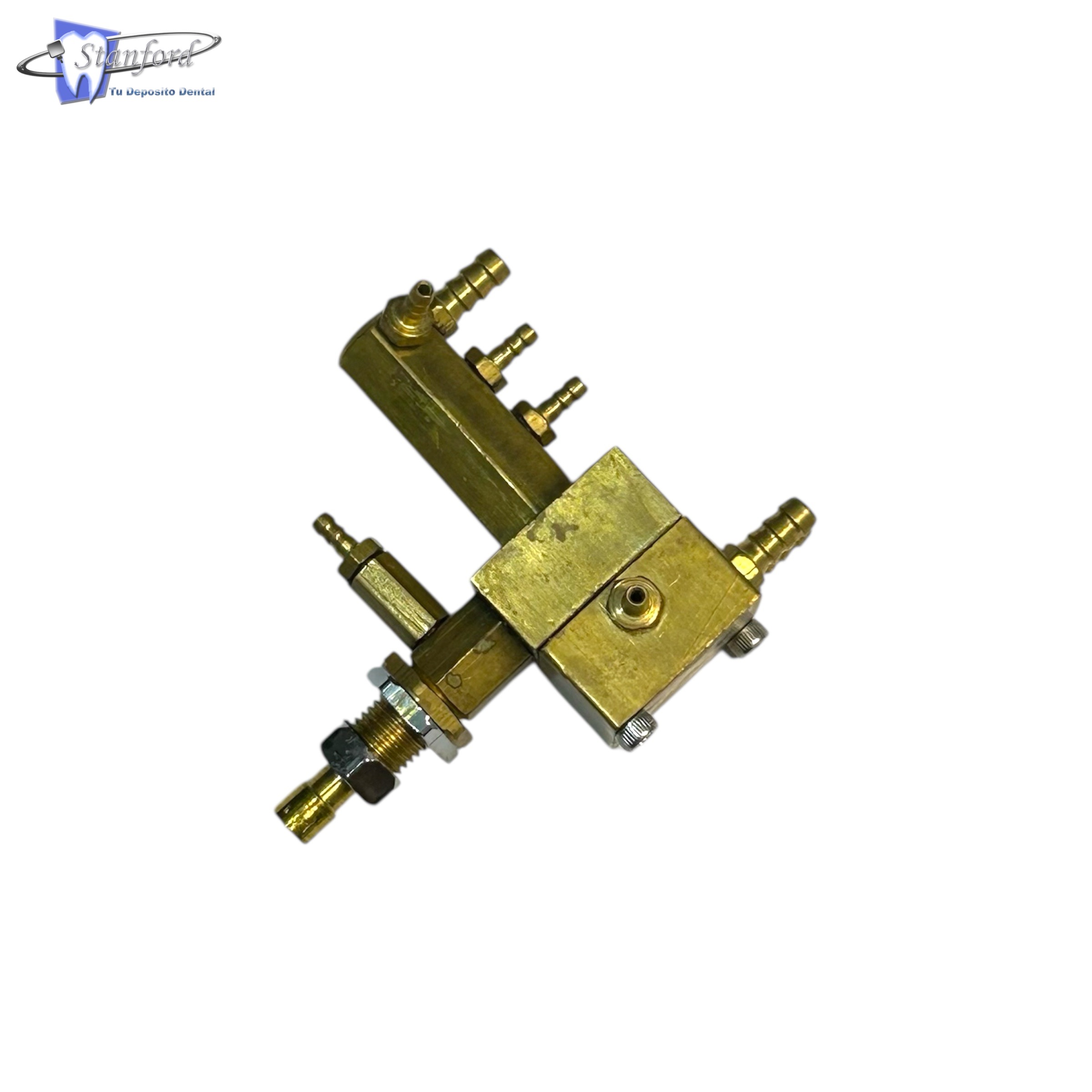 Servo Modelo Actual Fijodent