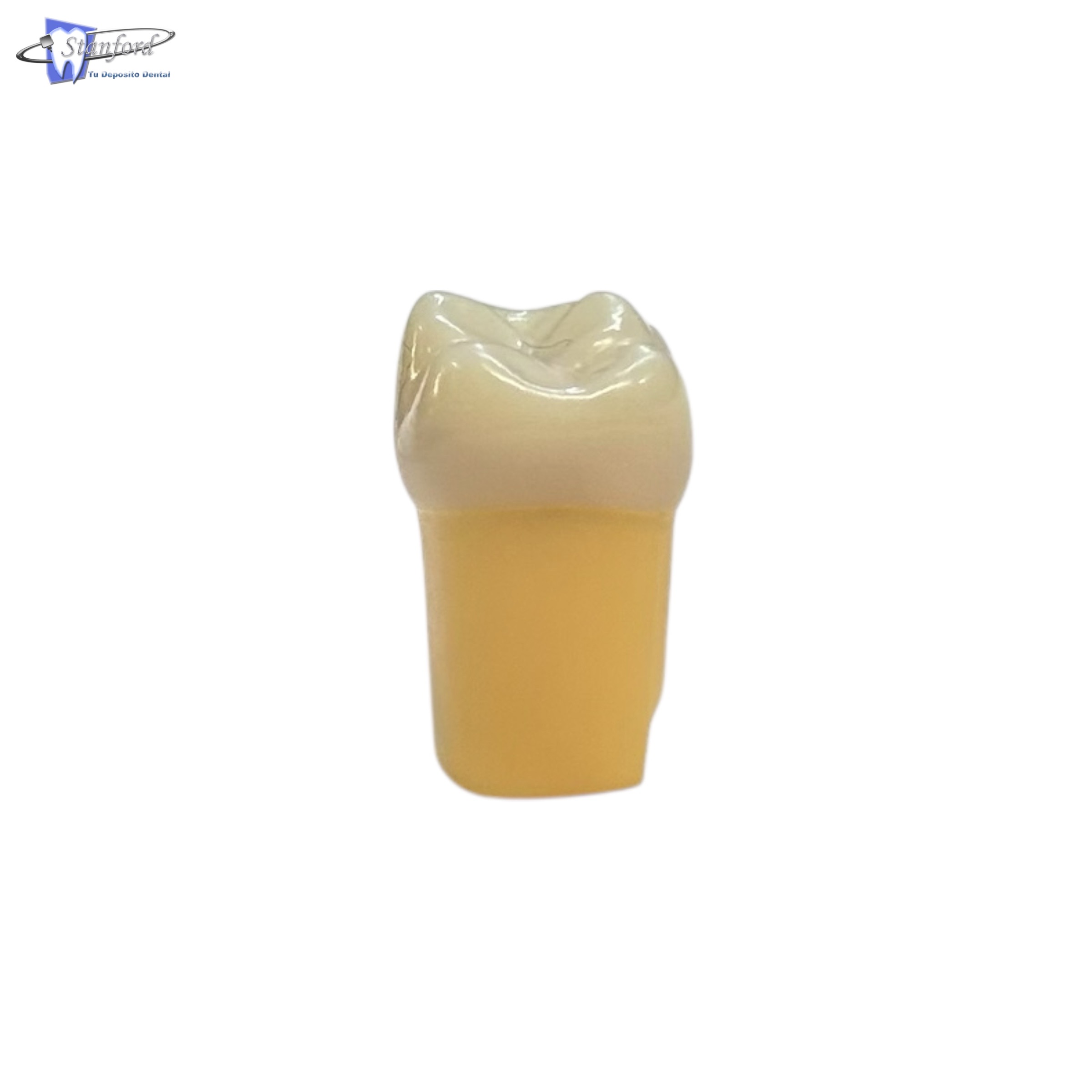 Diente C/Caries #16-16K